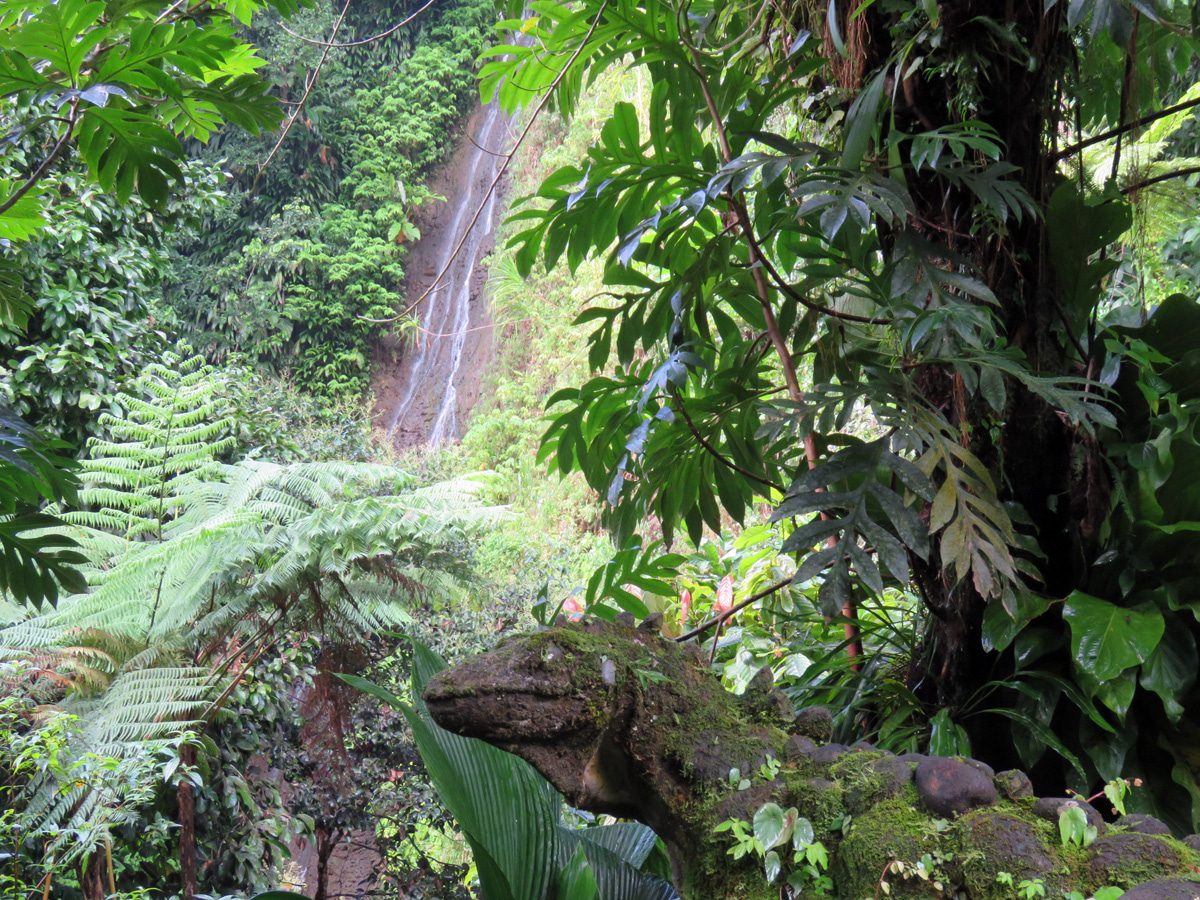 Things to Do in Dominica with Kids