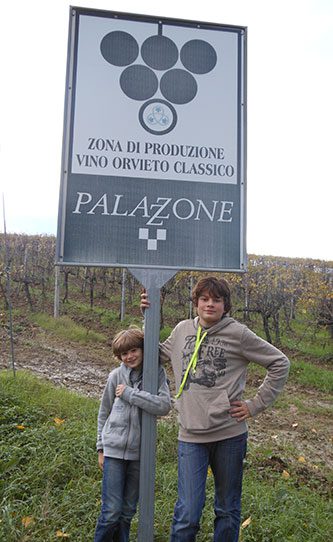 locanda-palazzone-vineyards