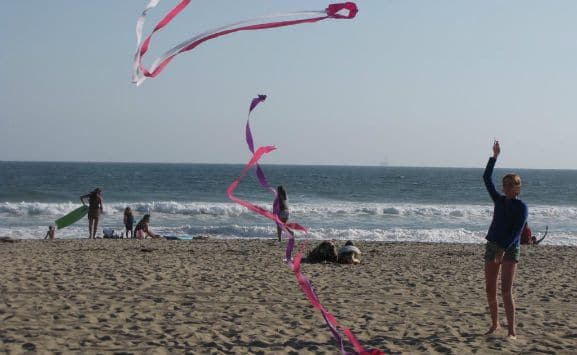 kite-flying-hyatt-huntington-beach-california