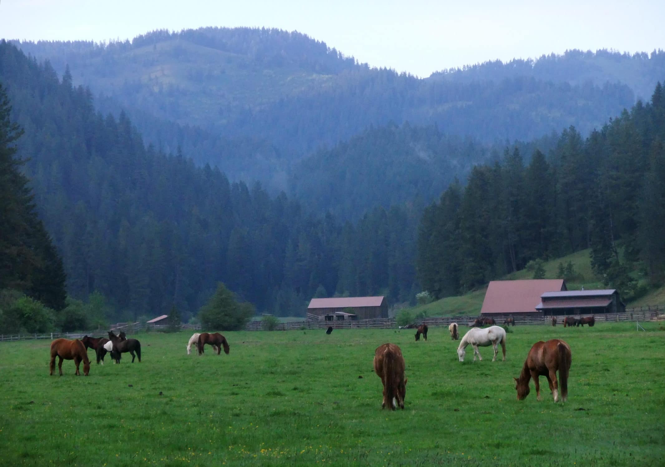 The mountains provide a gorgeous setting for a Red Horse Mountain Ranch family vacation.