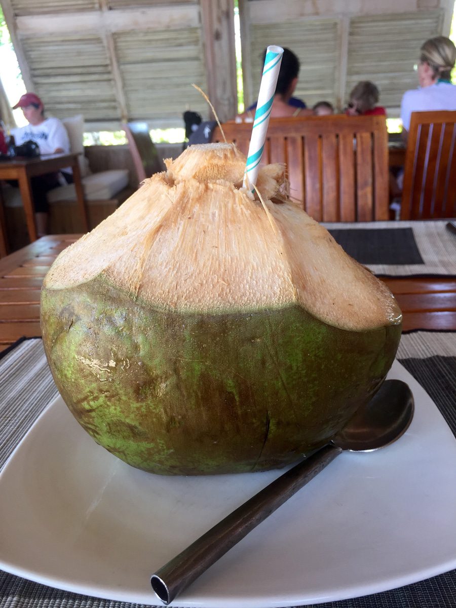 parrot-cay-coconut