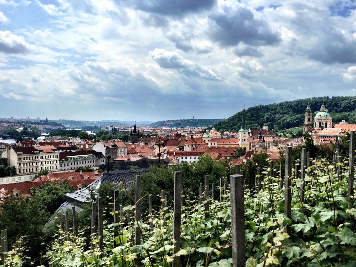 View from Prague Castle vineyards