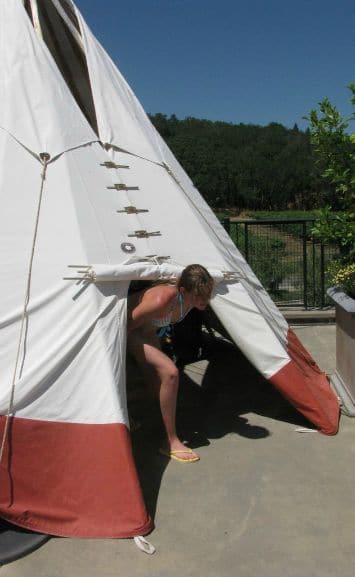 teepee-library-francis-ford-coppola-swimming-pool-napa-valley-ca