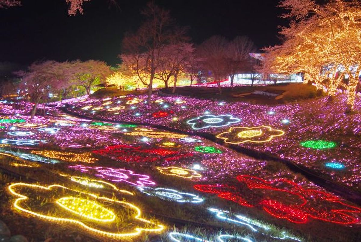 Japan lights. Интерактивные парки Японии. Япония интерактивный фестиваль. Иллюмиллион Сагамико. Japan Park of Lights.