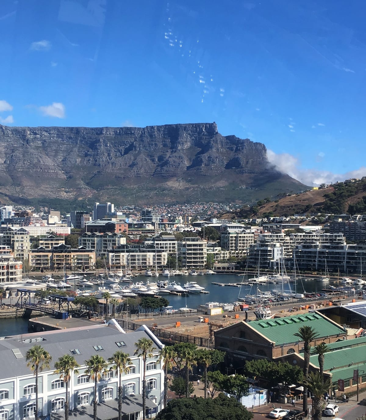 Things to Do in Cape Town with Kids