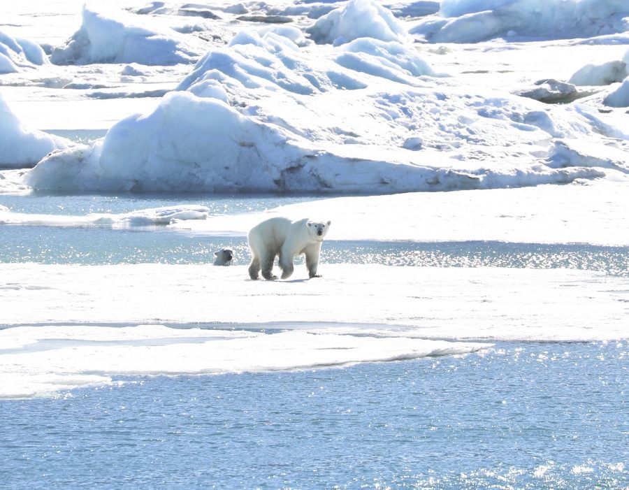 Lindblad Expeditions Arctic Family Vacation | Kid-Friendly Arctic Travel