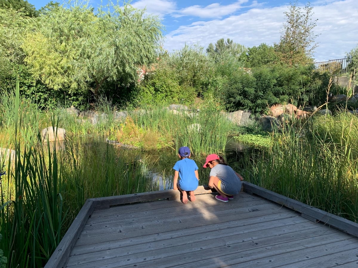 Best Things to Do in Denver with Kids