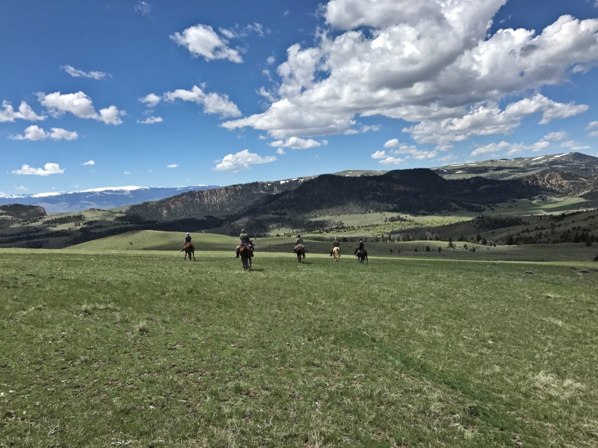 Best Family Dude Ranch Vacation Ideas for 2020
