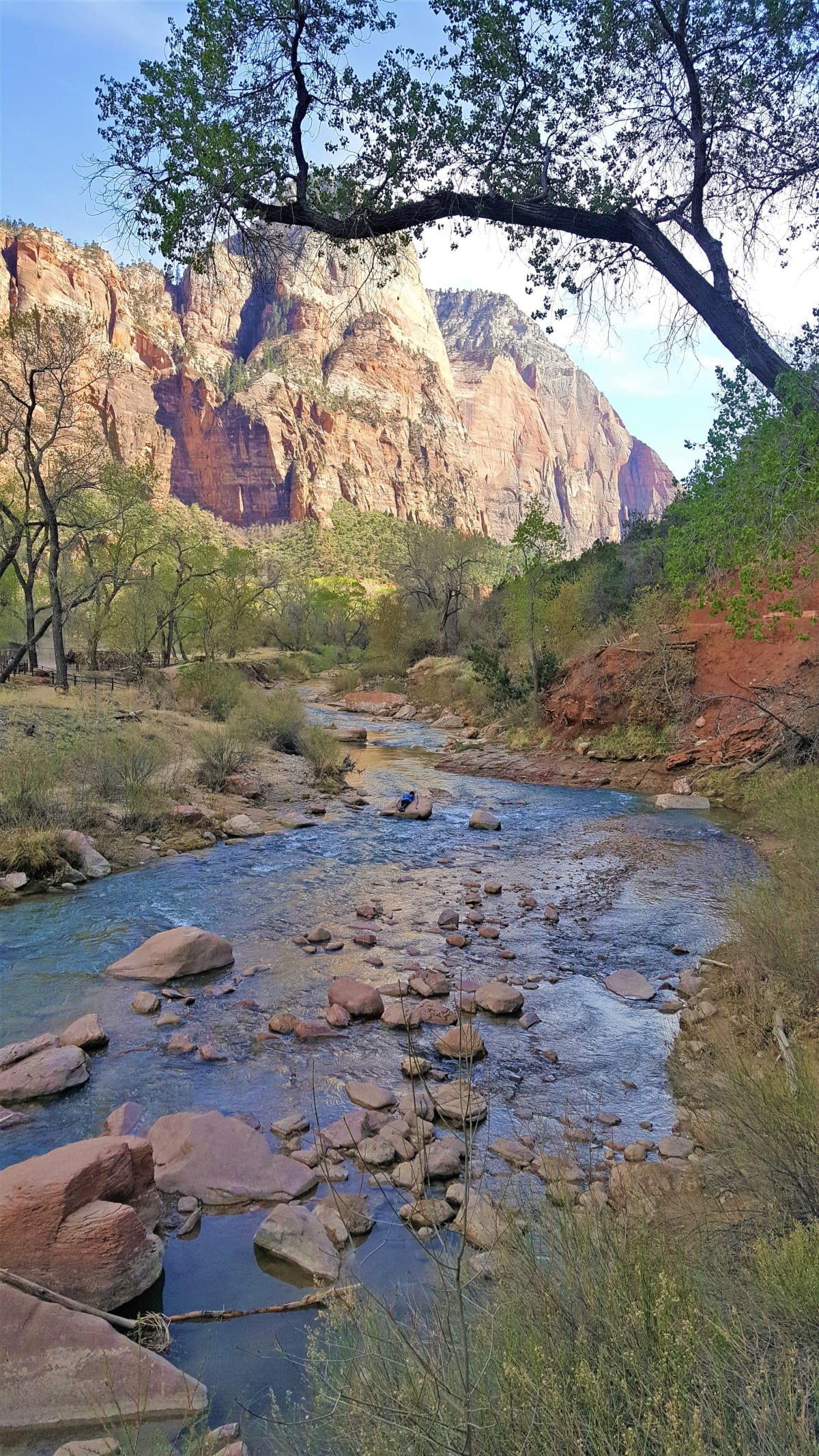 One Perfect Day in Zion National Park