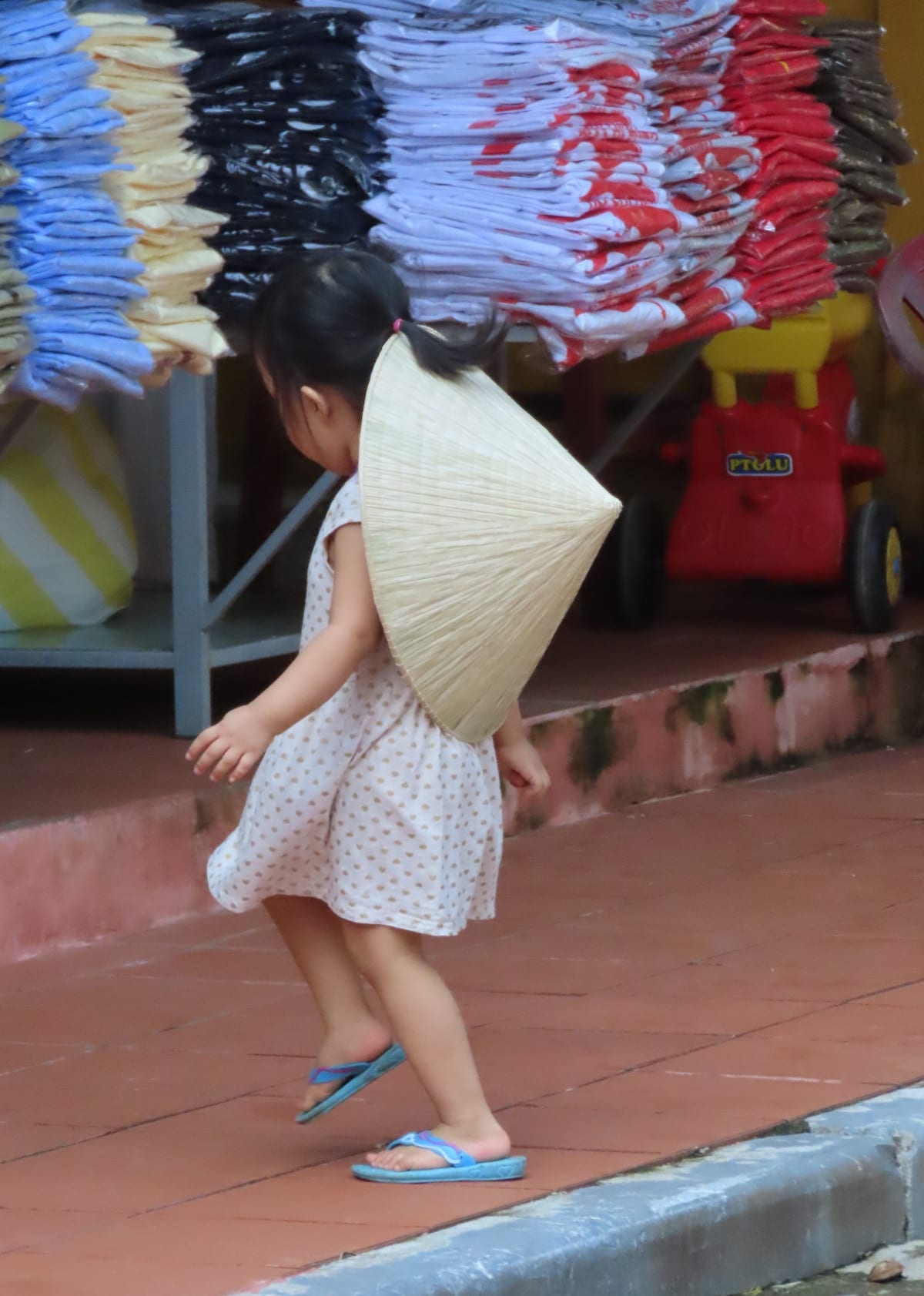 Where to Go in Vietnam with Kids