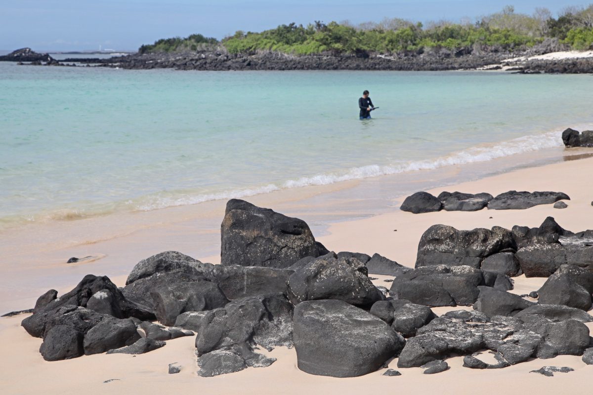 Galapagos Islands Land-Based Tour