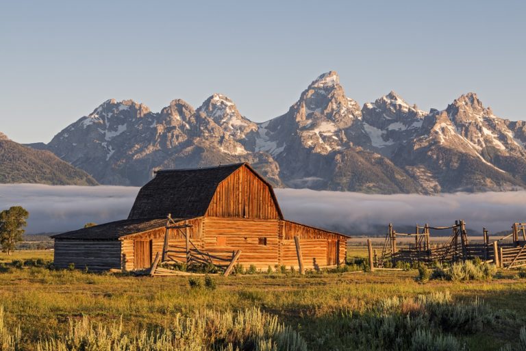 Best Things to Do in Jackson Hole with Kids in Every Season