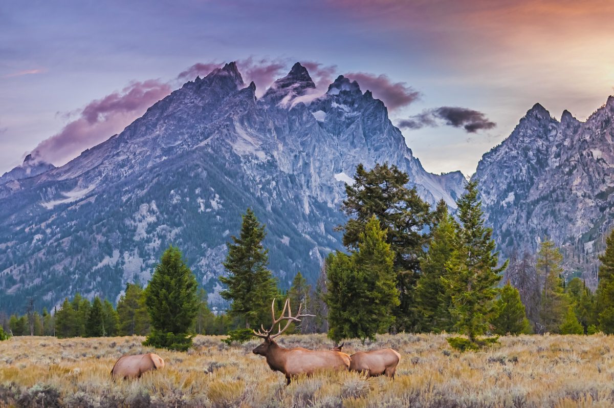 Things to Do in Jackson Hole