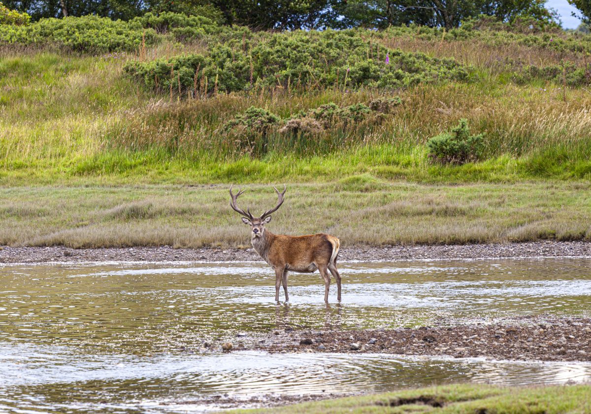 Hebrides Islands with Kids