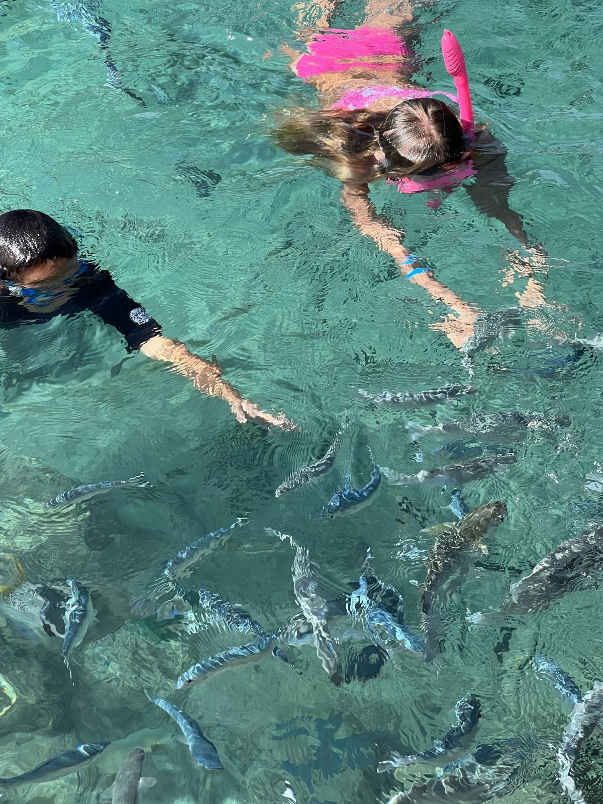 kids and fish in laggon at InterContinental Tahiti Resort and Spa