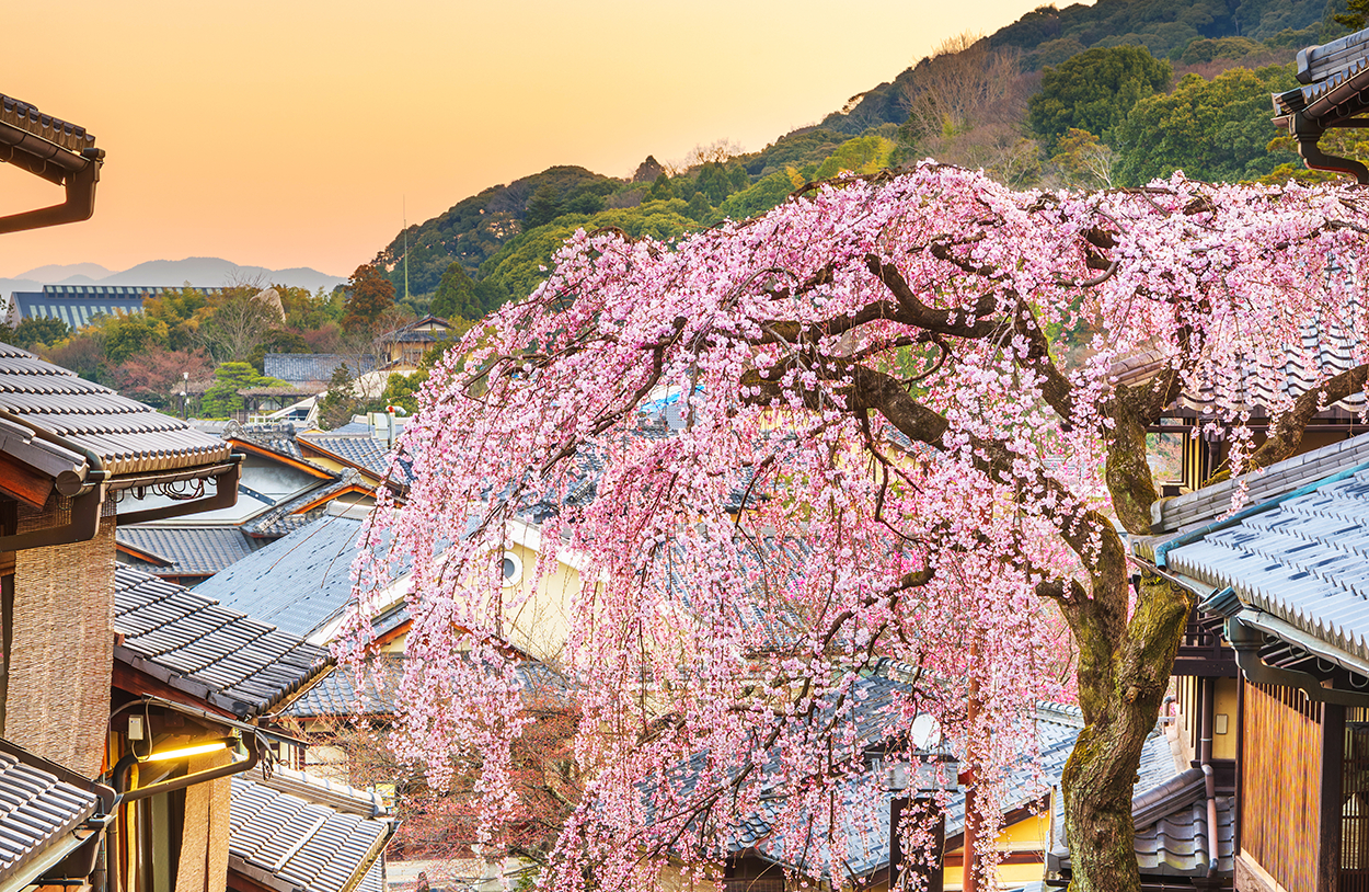 Seasons of Japan: When is the Best Time to Plan Your Trip?