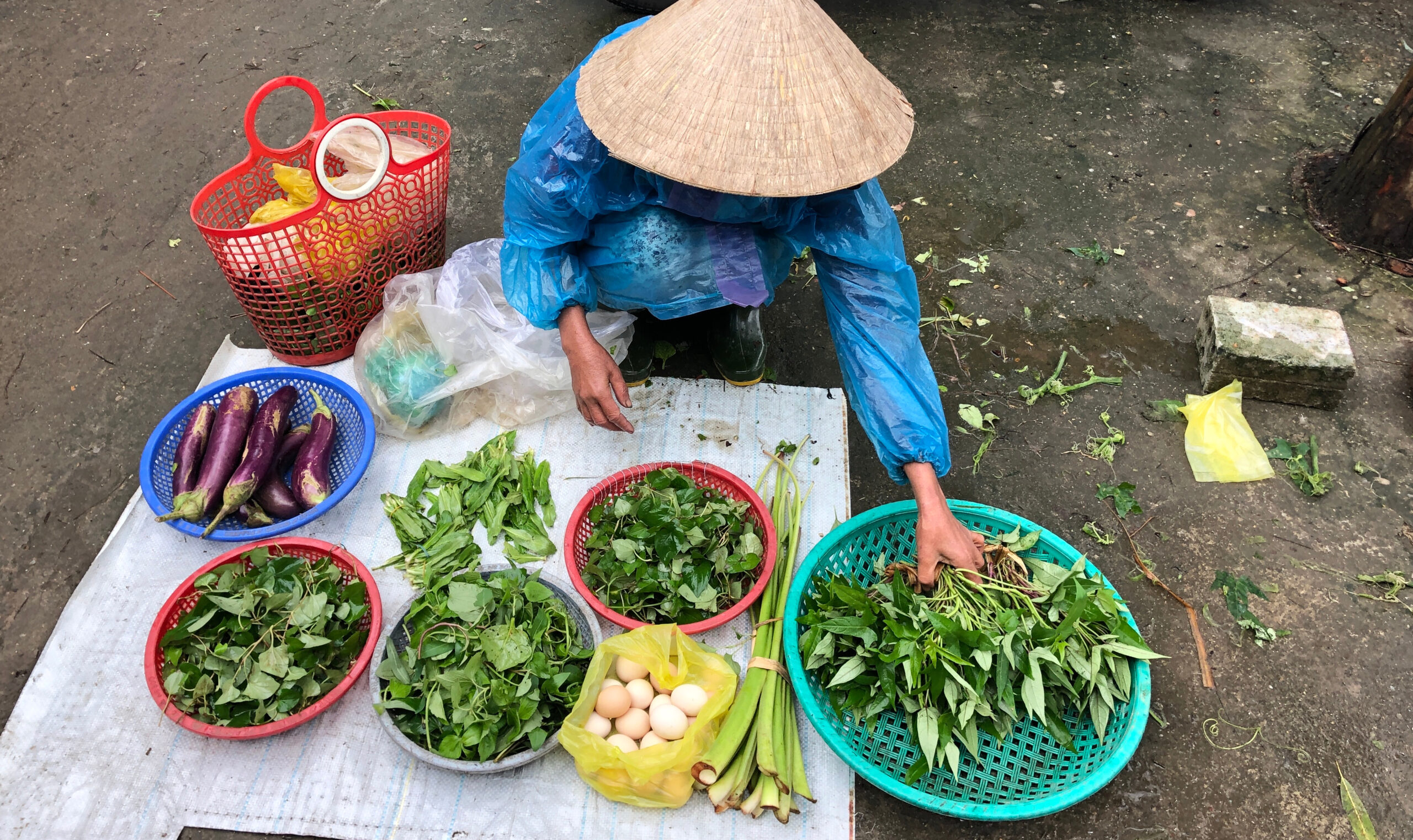 Top 5 Reasons to Visit Vietnam with Kids