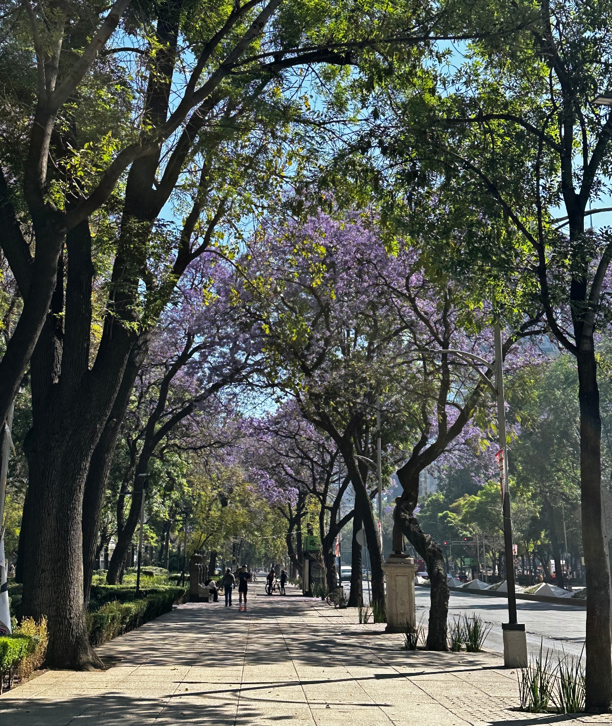 What to do in Mexico City with children