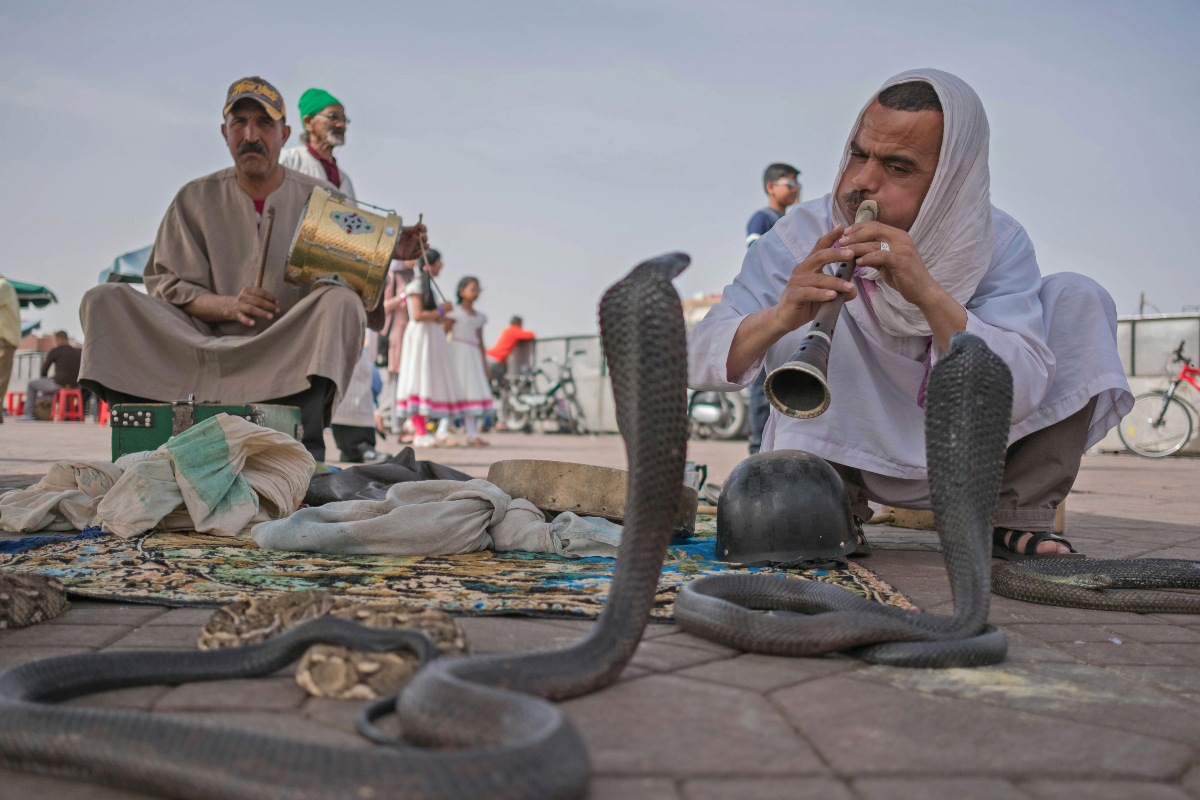 72 Hours in Marrakech with Kids