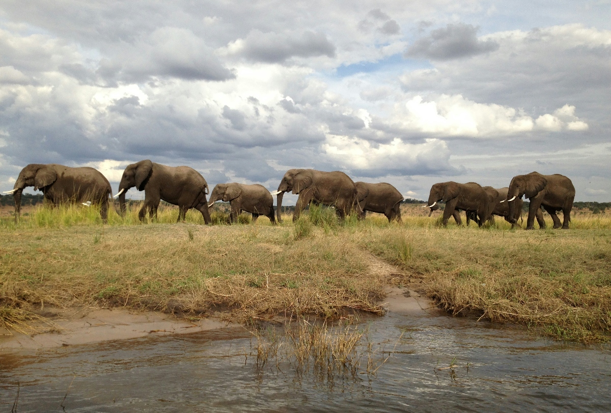 Botswana Family Safari Tips