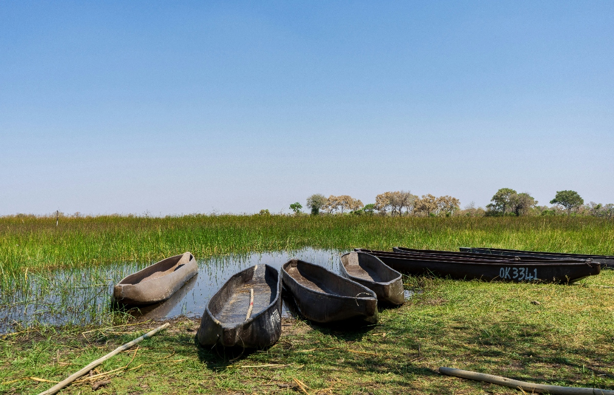 Botswana Family Safari Tips