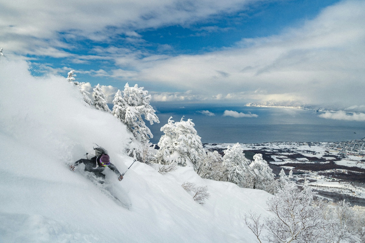 A skier carves through deep powder on a steep tree-lined run in Hokkaido, Japan, with snow-laden firs and a sweeping view of the coastline and sea below a bright winter sky.