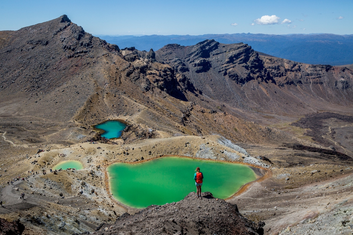 Visiting New Zealand with Kids