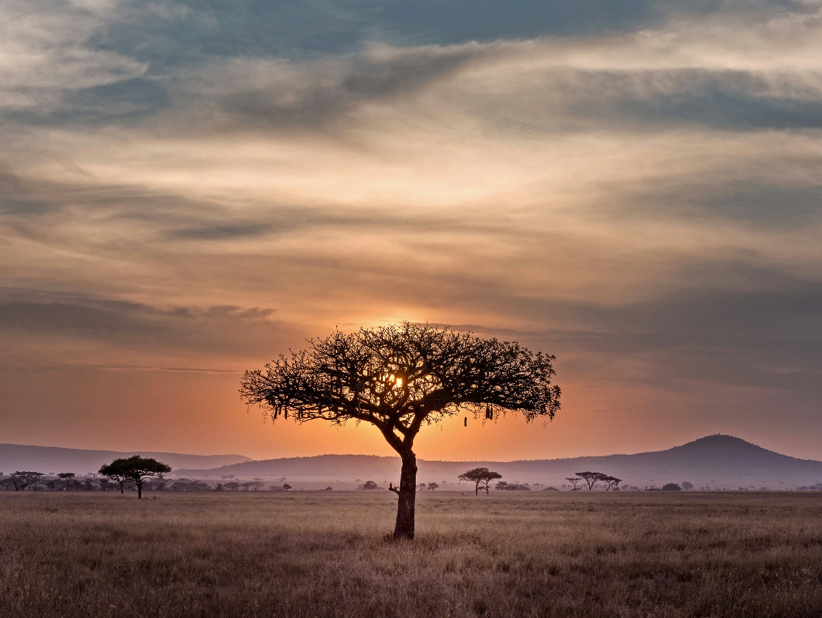 Tips for a Family-Friendly Tanzania Safari