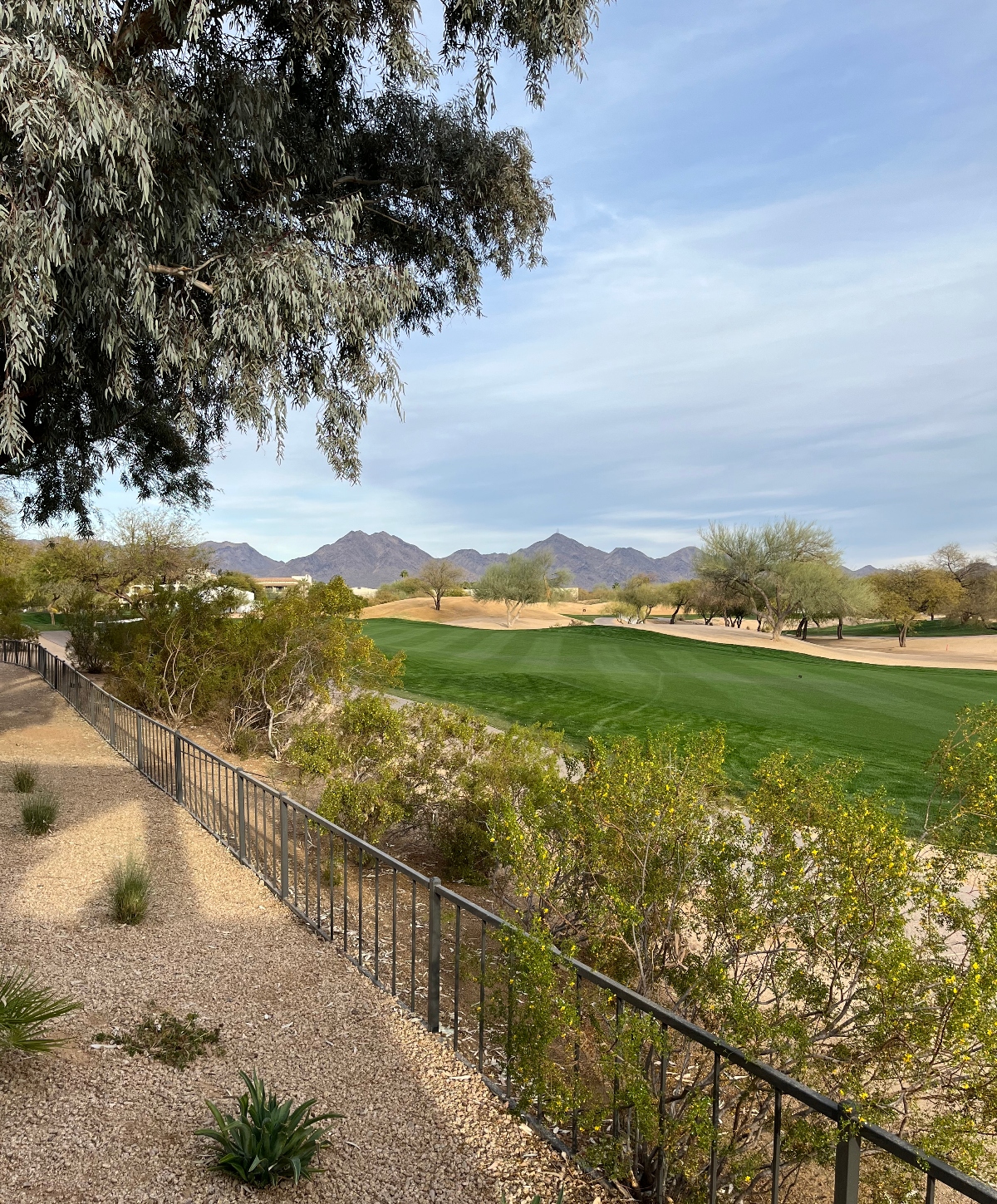 Fairmont Scottsdale Princess Review and Highlights