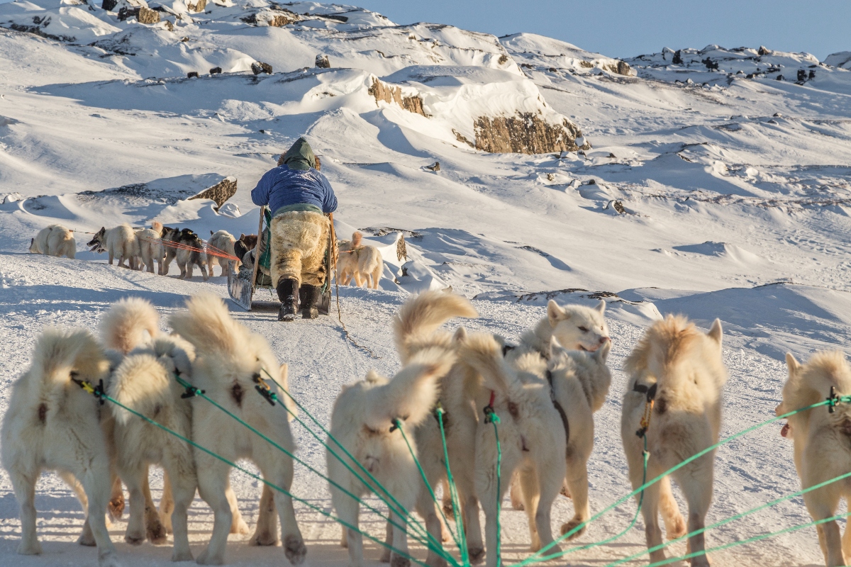 What to Do on a Family Vacation to Greenland