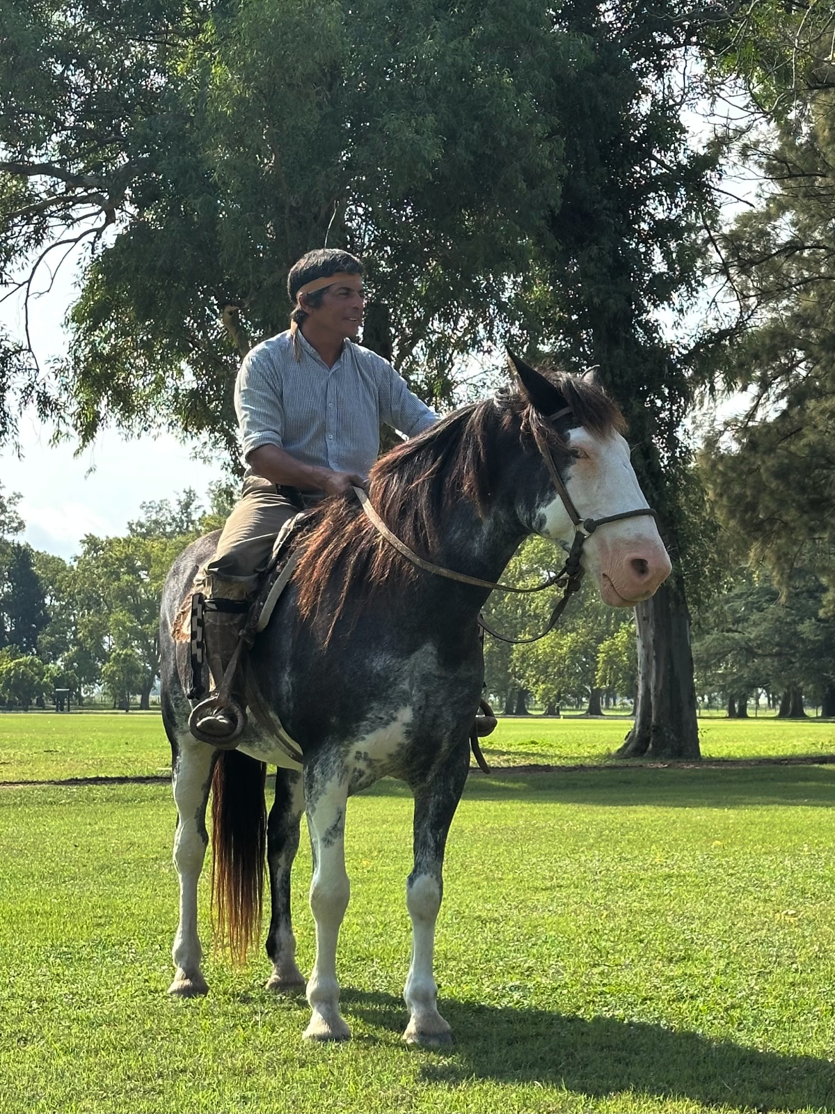 72 Hours in Buenos Aires with Kids