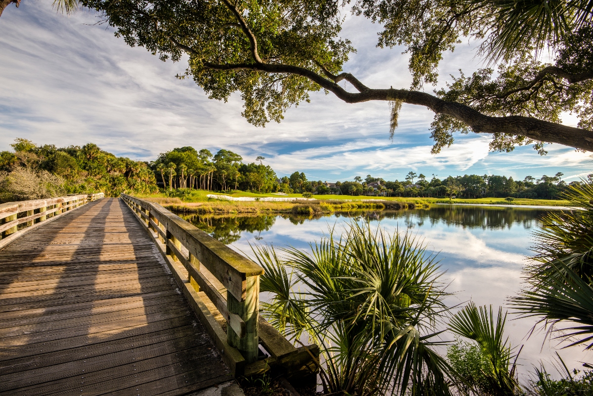 A wooden boardwalk extends over a pond surrounded by palm trees, marsh grasses, and dense vegetation, with an overhanging oak tree branch creating shade overhead. The water reflects the cloudy sky and surrounding landscape, while golf course fairways and additional trees are visible in the background across the wetland area.