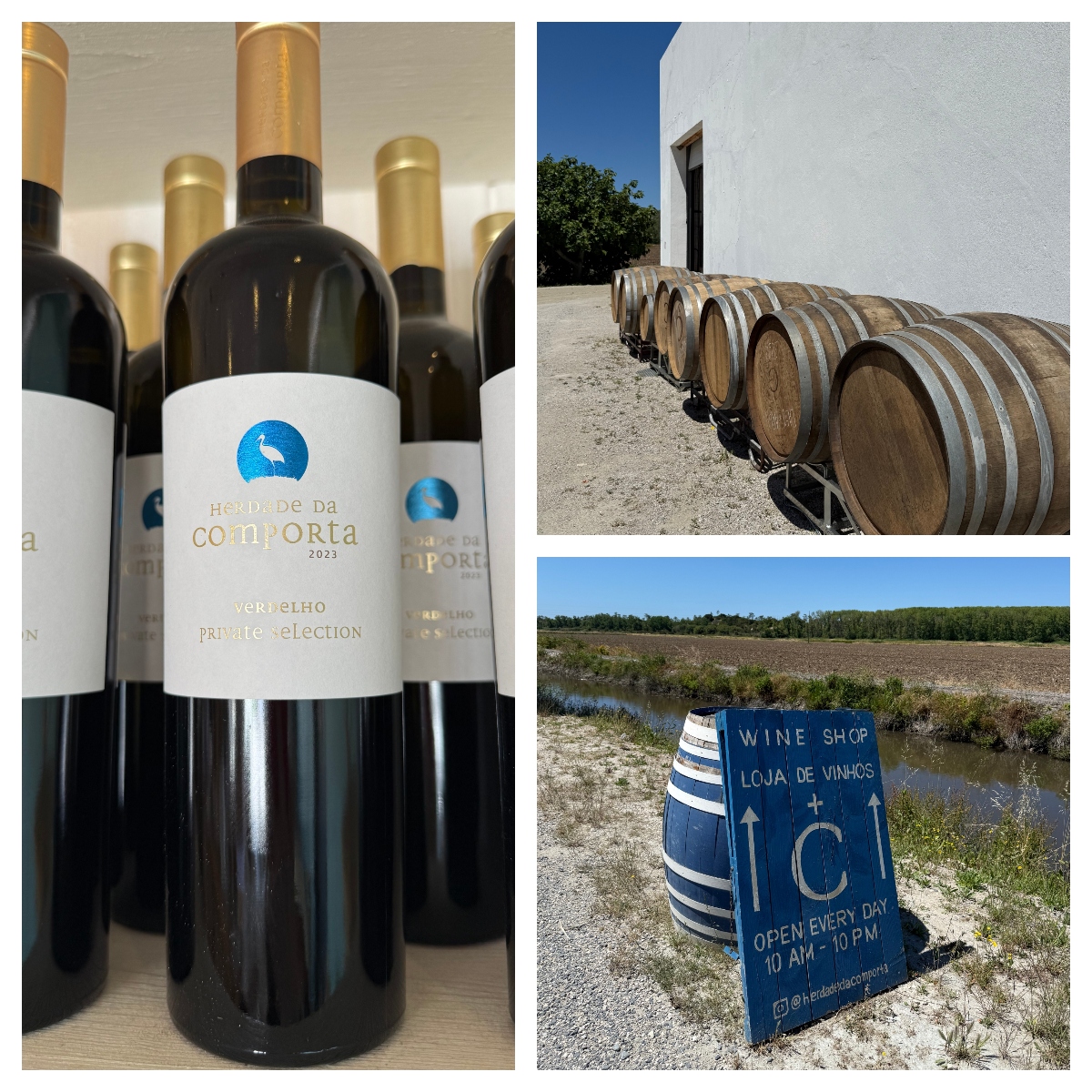 Winery in the Alentejo region of Portugal