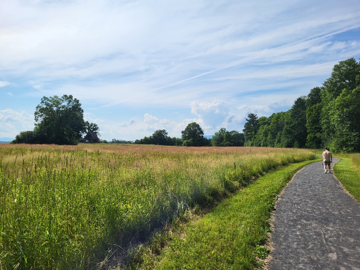 A paved walking path extends into the distance on the right side of the image, with two people visible walking along it. To the left of the path lies a large field of tall grasses and vegetation, bordered by mature trees under a blue sky with scattered white clouds.