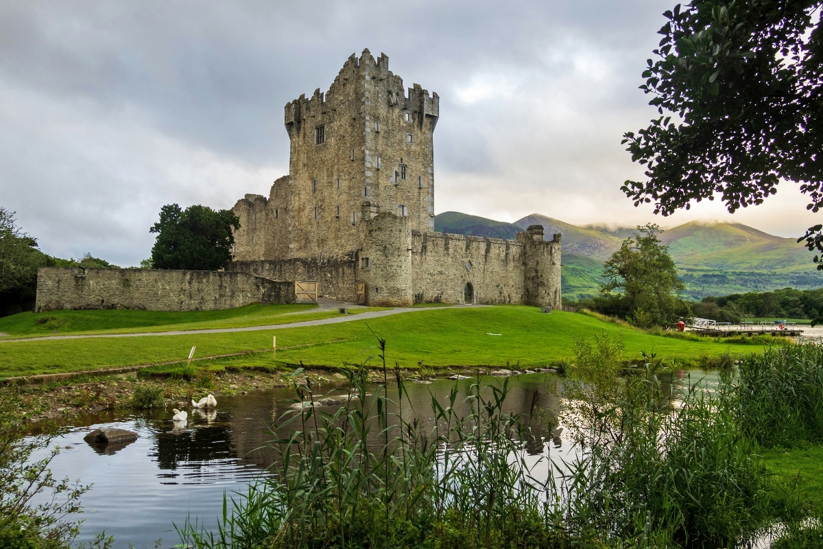 A medieval stone castle with outstanding cylindrical towers and reinforced walls is located on a wide green ground. In the foreground, a calm body of water reflects the enveloping sky, with white swans visible on the water and reeds growing along the coastline visible. The site is made up of mature trees and shows the castle’s strategic location in what appears to be a valley landscape.