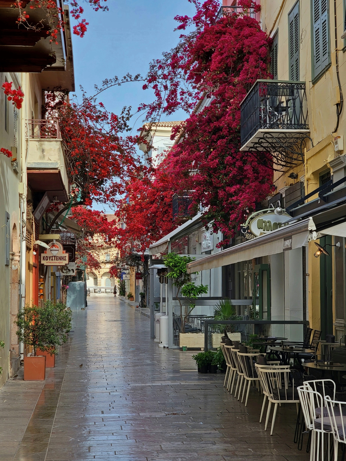 A narrow stone-paved pedestrian street is lined with traditional buildings featuring iron balconies and outdoor dining areas with stacked chairs and tables. Vibrant red and pink flowering vines create a dramatic overhead canopy across the alleyway, with Greek signage visible on storefronts under a clear blue sky.
