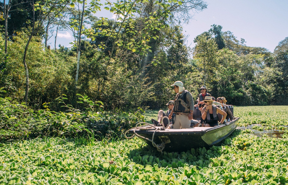 A group of approximately eight people sits in a small motorboat that is navigating through a densely vegetated wetland area with thick aquatic plants covering the water's surface. The passengers are wearing hats and casual outdoor clothing, with one person standing at the front of the boat. The scene is surrounded by lush green trees and foliage under an overcast sky, creating a natural swamp or marsh environment.