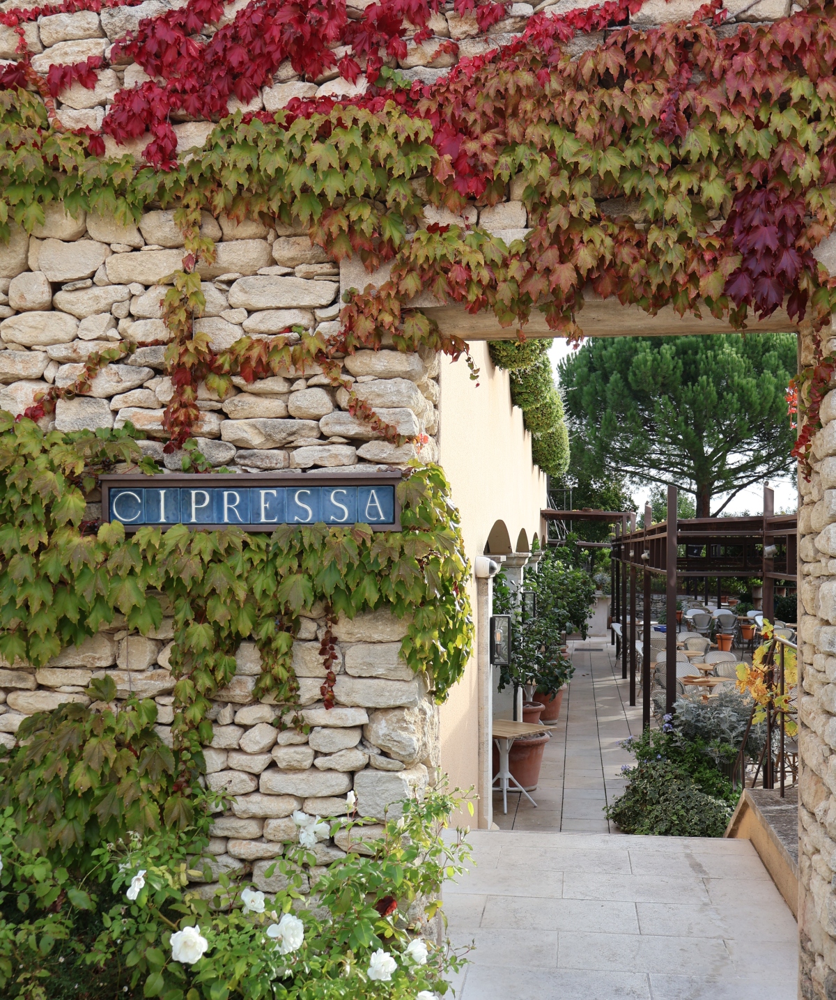 A stone archway entrance labeled "CIPRESSA" is covered with climbing vines displaying autumn foliage in shades of crimson, burgundy, and green against weathered beige stonework. The archway frames a view through to a paved terrace with cone-shaped topiaries in terracotta pots, outdoor dining furniture, and a mature pine tree in the distance. White flowering plants grow at the base of the stone wall in the foreground.