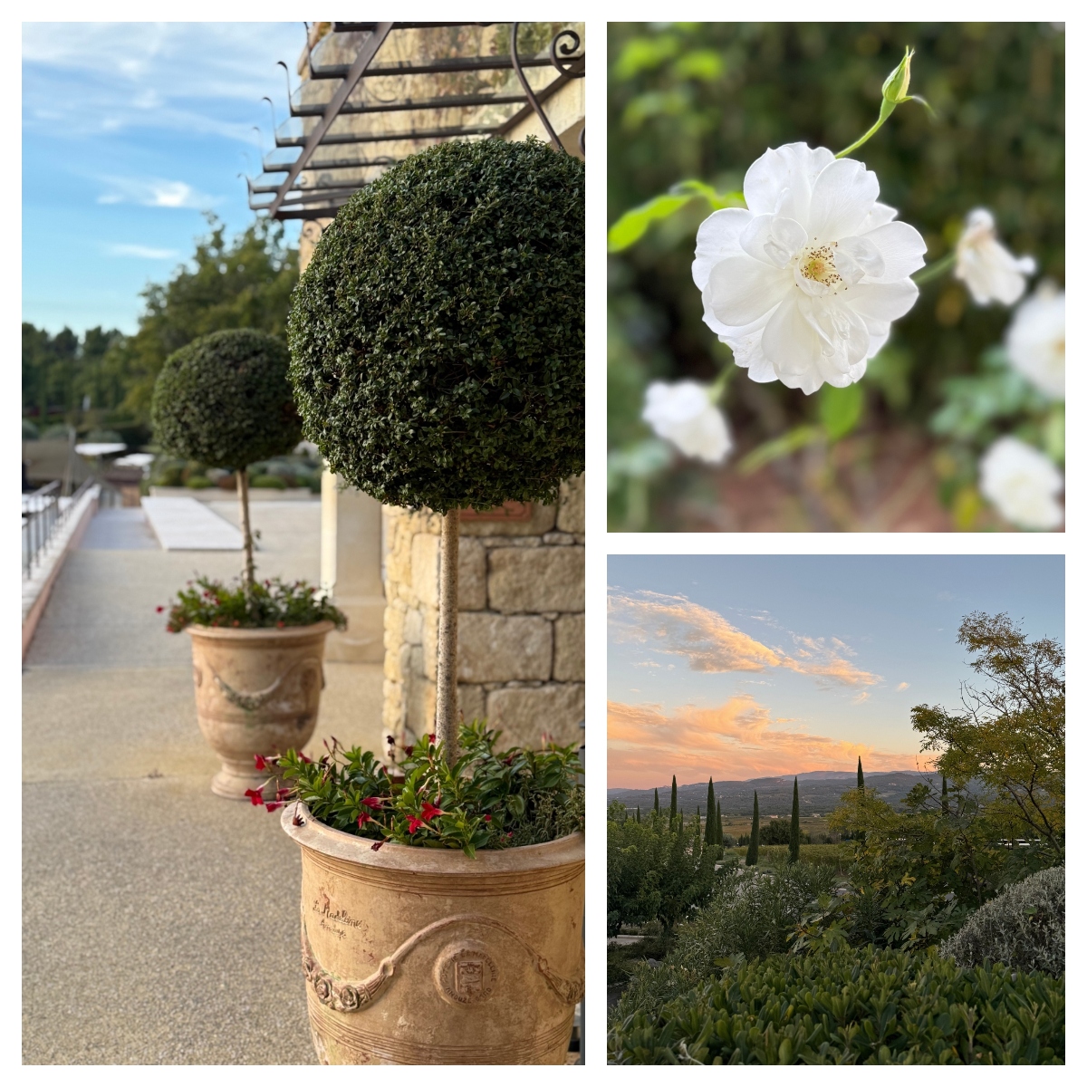 A three-photo collage featuring Mediterranean-style landscaping and architecture. The main image on the left shows manicured spherical topiary trees in ornate terracotta planters with carved decorative details, positioned on a terrace with stone walls and wrought iron fixtures visible in the background. The top right photo displays a close-up of a white flower with delicate petals and yellow stamens, while the bottom right captures a sunset landscape view with cypress trees silhouetted against rolling hills under a peach and blue sky.