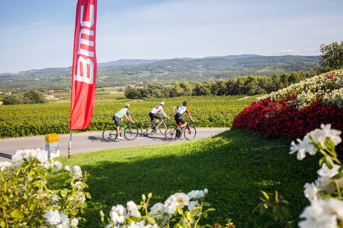 Three cyclists in athletic gear ride road bikes along a paved path through vineyard countryside with rolling hills in the background. A tall red BMC branded banner stands at the roadside, and the foreground features white and red flowering plants bordering the manicured lawn. The landscape shows expansive green vineyards extending toward tree-covered hills under a clear blue sky.