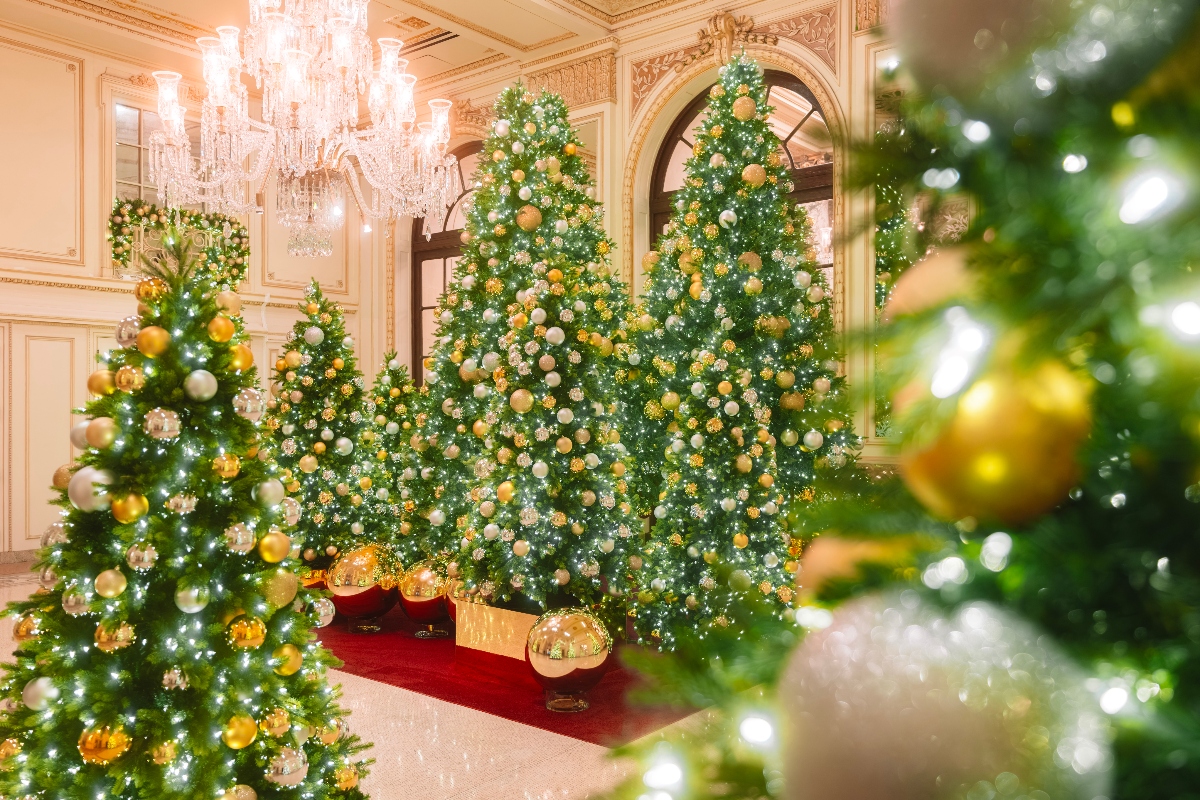 Multiple decorated Christmas trees adorned with gold and silver ornaments stand in an ornate hotel lobby featuring cream-colored walls with gilded molding, arched doorways, and crystal chandeliers. A red carpet runner extends between the illuminated trees, with wrapped gift boxes displayed near the center tree.