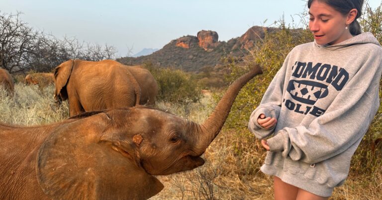 11 Incredible Family Travel Experiences Worth Every Penny