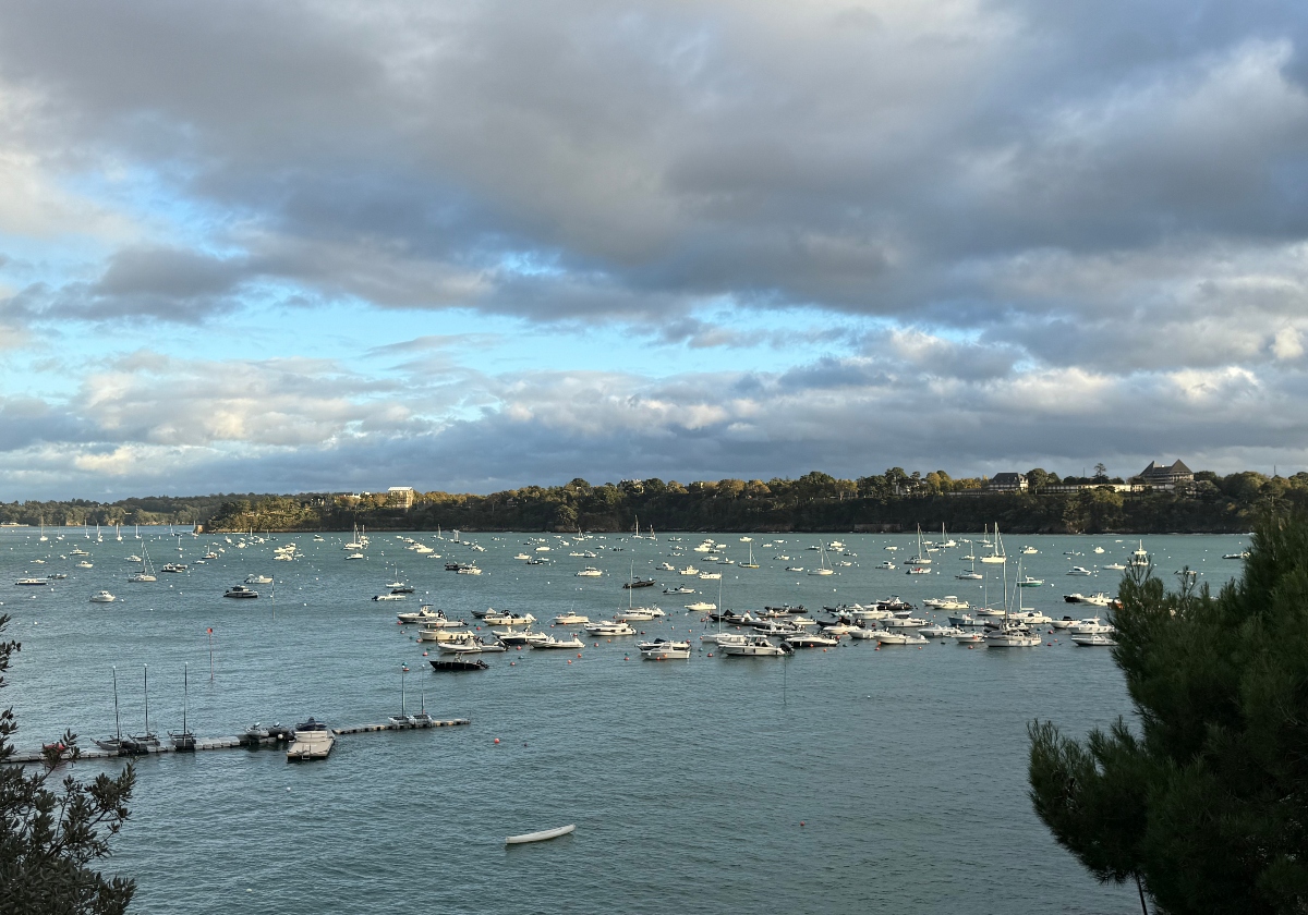 A harbor filled with numerous sailboats and motorboats moored in blue-green water, extending from the foreground into the distance. The scene is framed by evergreen trees on the right, with a tree-lined shore and buildings visible across the water under a dramatic cloudy sky with patches of blue.