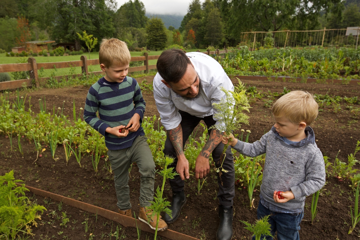 An adult in a white chef's coat bends down between two young boys in a vegetable garden with raised beds, examining freshly pulled carrots with their green tops still attached. The garden is bordered by wooden fencing with dense forest and misty mountains visible in the background under an overcast sky.