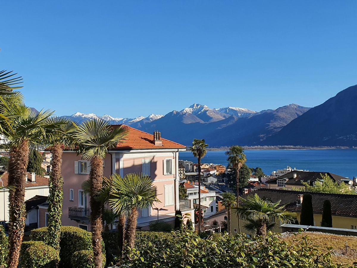 A view overlooking a lakeside town with palm trees framing residential buildings with terracotta roofs, including a prominent pink-toned multi-story structure in the foreground. Beyond the town, blue lake waters stretch toward dramatic snow-capped mountain peaks rising against a clear blue sky.
