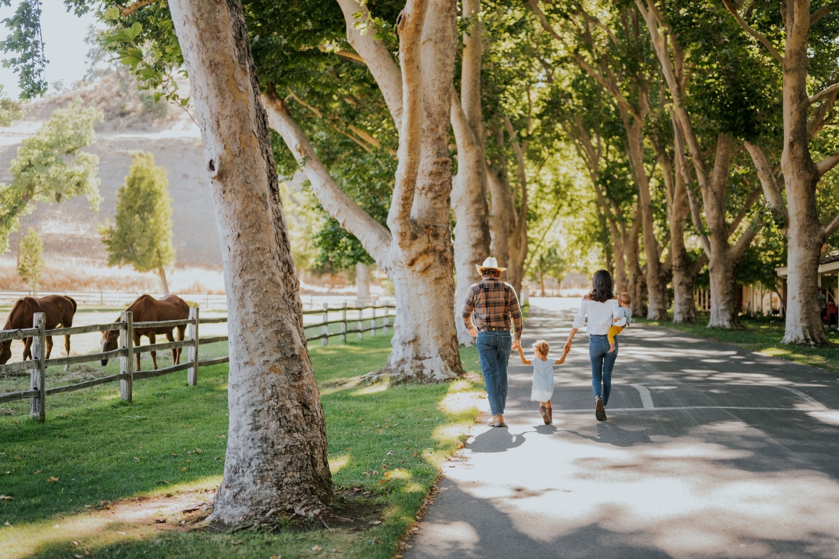 A family of four walks hand-in-hand down a tree-lined path, with two children between their parents, one of whom wears a cowboy hat and plaid shirt. Behind a wooden fence on the left, horses graze beneath large sycamore trees, with rolling hills visible in the misty background.
