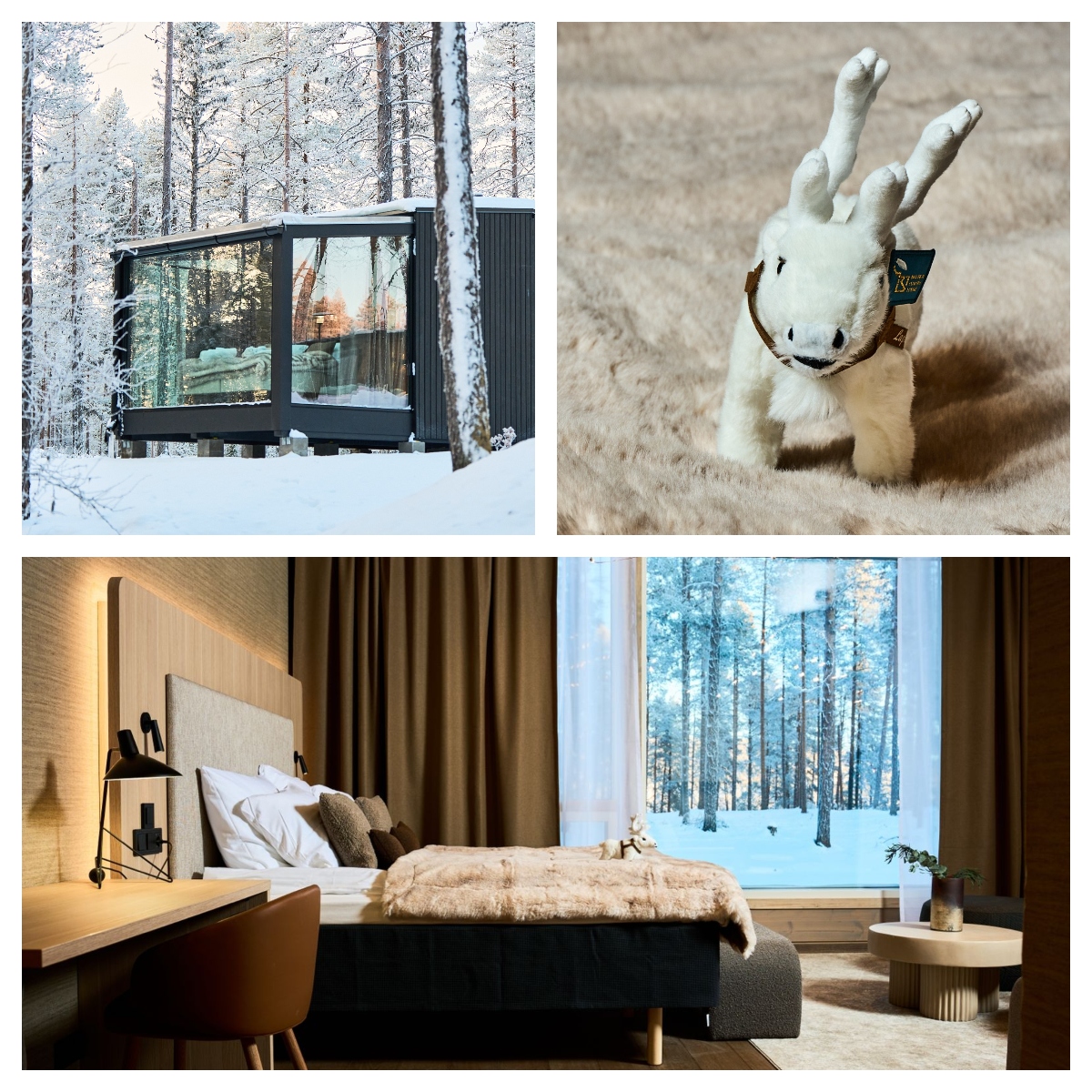 A three-image collage shows a modern glass-walled cabin exterior in a snow-covered forest (top left), a white plush reindeer figurine with antlers (top right), and a hotel room interior with a bed draped in fur and a floor-to-ceiling window (bottom). The winter forest theme connects all three images, with frost-covered trees visible in the exterior and window views.