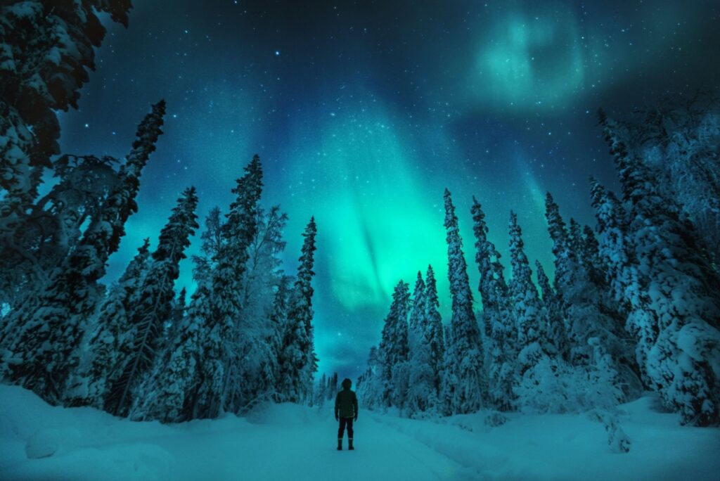 A lone figure stands in silhouette at the center of a snow-covered forest clearing, facing upward toward the night sky where bright turquoise and green aurora borealis lights dance overhead. Snow-laden coniferous trees frame both sides of the scene, their dark forms contrasting against the luminous curtains of northern lights that illuminate the starry sky.