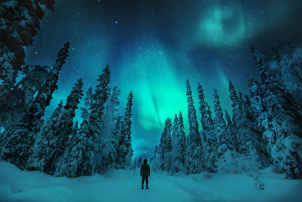 A lone figure stands in silhouette at the center of a snow-covered forest clearing, facing upward toward the night sky where bright turquoise and green aurora borealis lights dance overhead. Snow-laden coniferous trees frame both sides of the scene, their dark forms contrasting against the luminous curtains of northern lights that illuminate the starry sky.