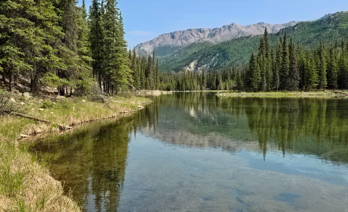 A calm, clear river or pond winds through a boreal forest of spruce trees, with the surrounding trees and rocky mountain ridgeline reflected in the still water. Grassy banks line the near shore, while forested slopes lead to bare rocky peaks under a clear blue sky in the background.